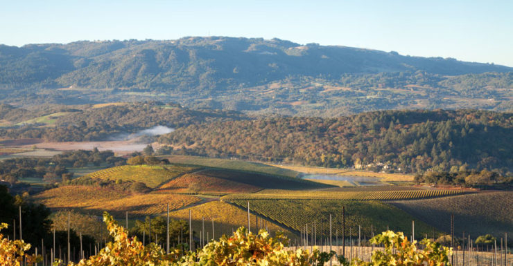 Vineyards across valley at dusk