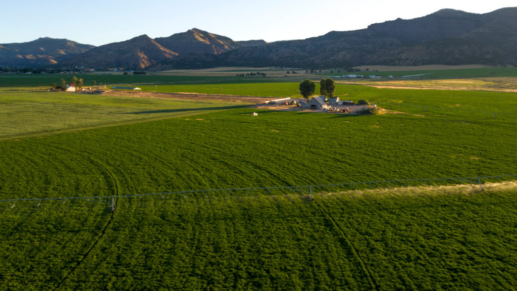 Agricultural Land and Farm Loans American AgCredit