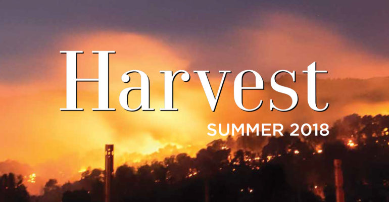 Harvest Newsletter Summer 2018 cover image with wildfires in background