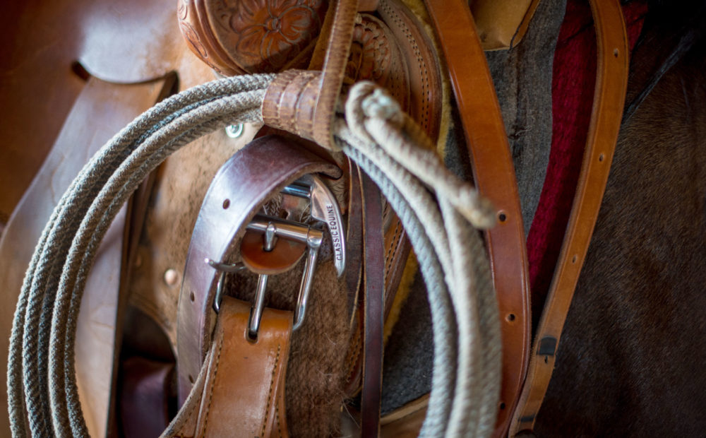 Rope and saddle on a horse