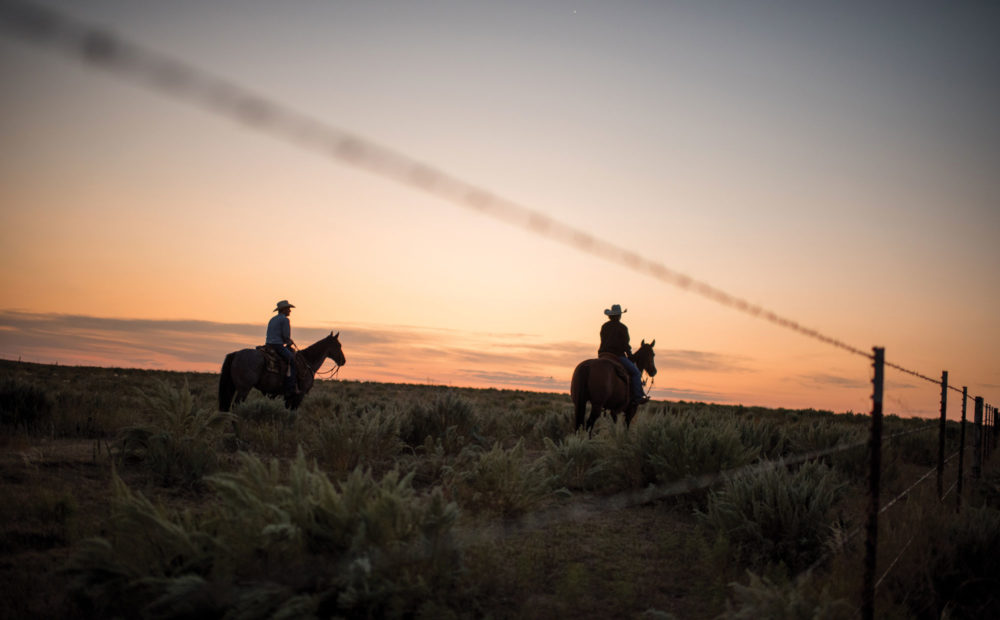 Two ranchers riding horses on Giles Ranch