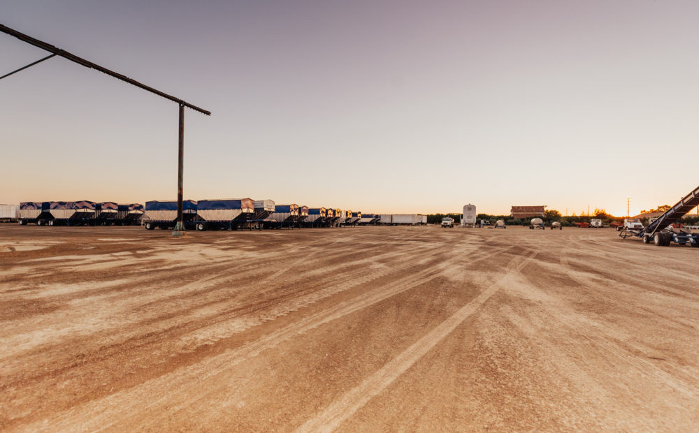 Wide shot of almond processing facility