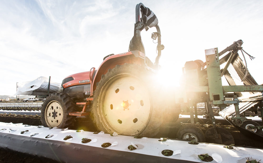 Farm equipment and a lens flare, tractor loans