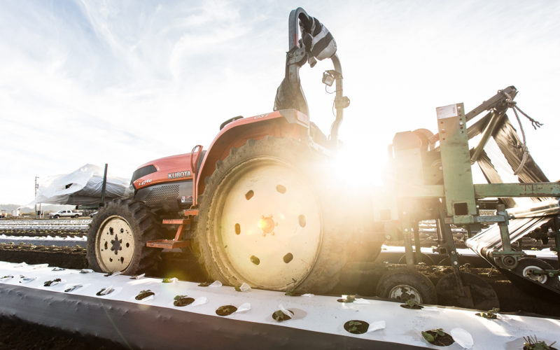 Farmer operating a piece of equipment with a lens flare