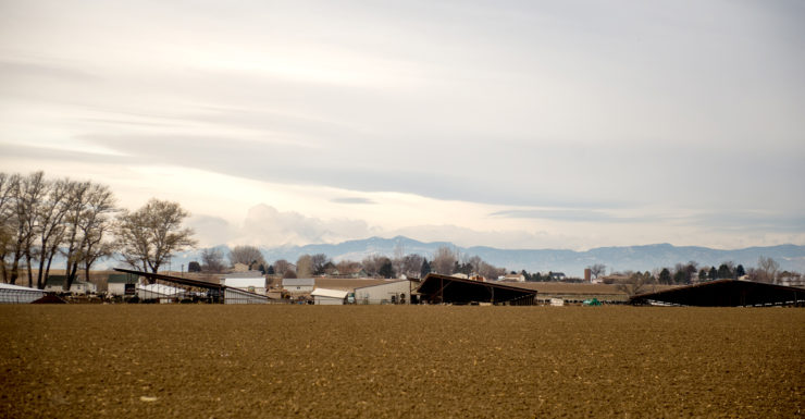 Farm landscape at dusk