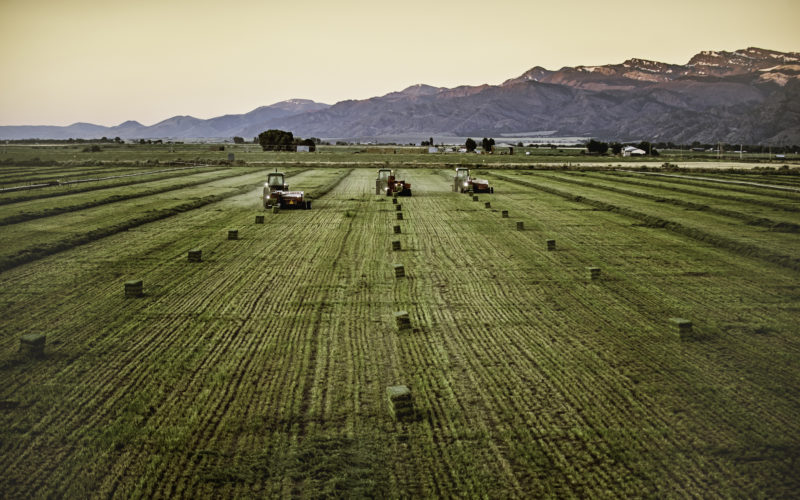 Aerial shot of alfalfa land in Colorado