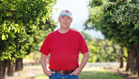 Tom Walcher, farmer, in orchard