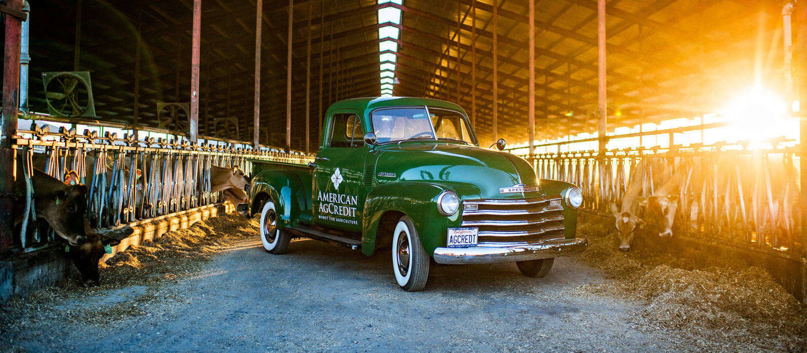 American AgCredit truck in dairy barn at sunset