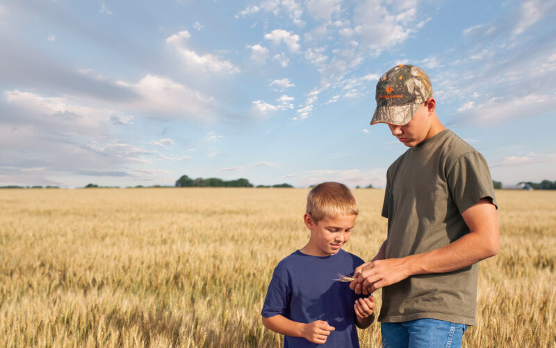 two young boys standing in a wheat field
