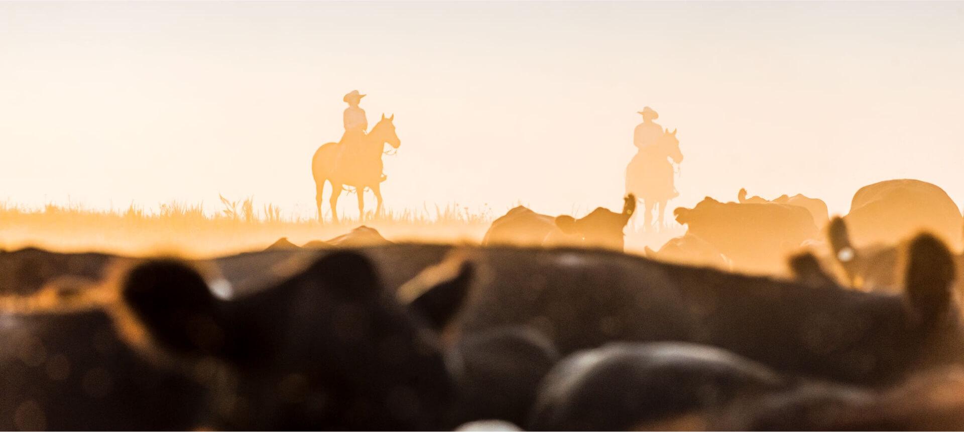 american ag credit karen pipin american ag credit karen pipin