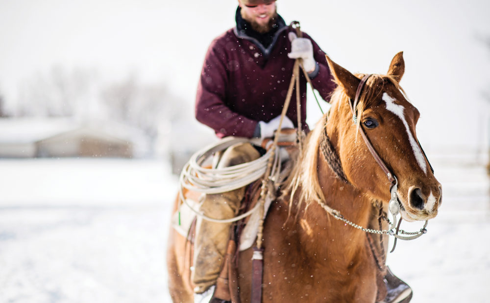 rancher on horseback in the snow