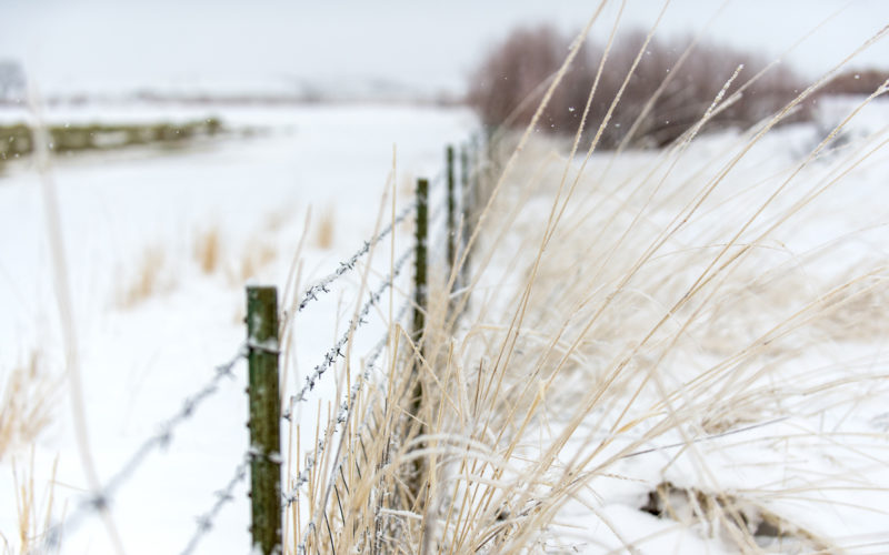 grass next to a barbed wire fence in the snow, country home loans