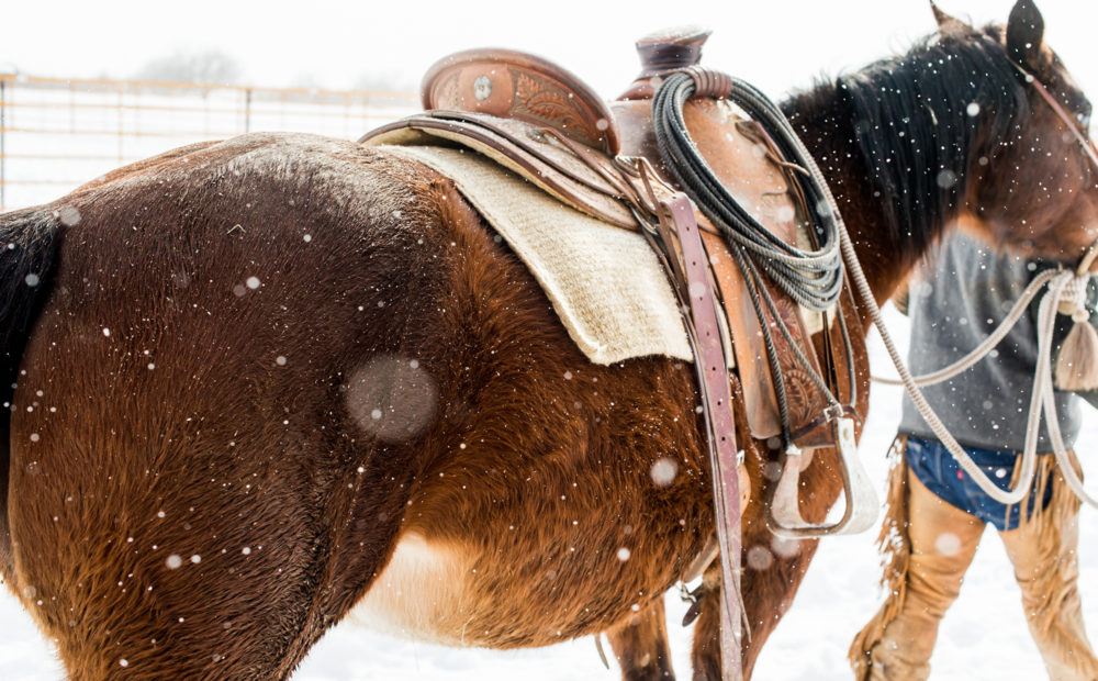 horse in snow with saddle being led by rancher