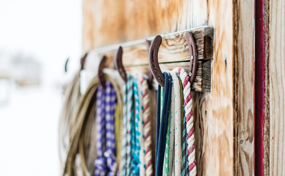 detail of crops on horseshoe hooks on old barn