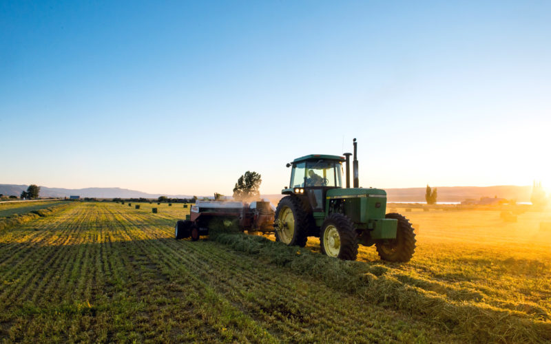 Farm equipment in alfalfa field at dusk; American AgCredit has a variety of ag financing products including equipment financing