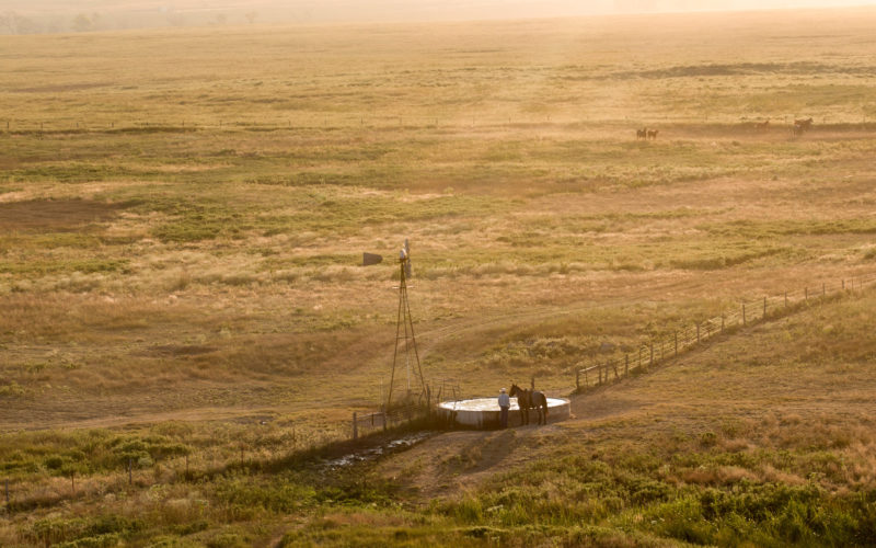 rancher with horse by a windmill in a field from a distance