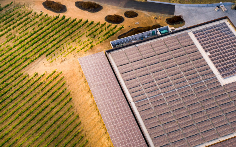 Solar field with vineyard, farm equipment financing