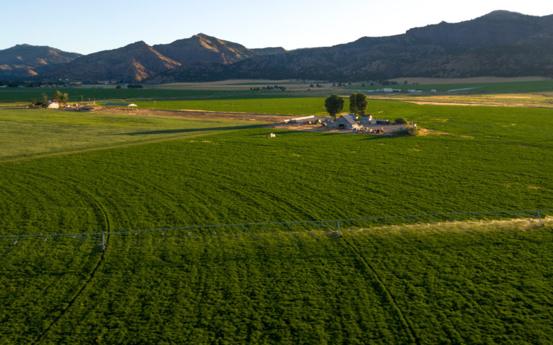 landscape of alfalfa ag real estate with mountains in the background, land in Colorado