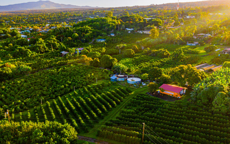 overview shot of farmland with houses