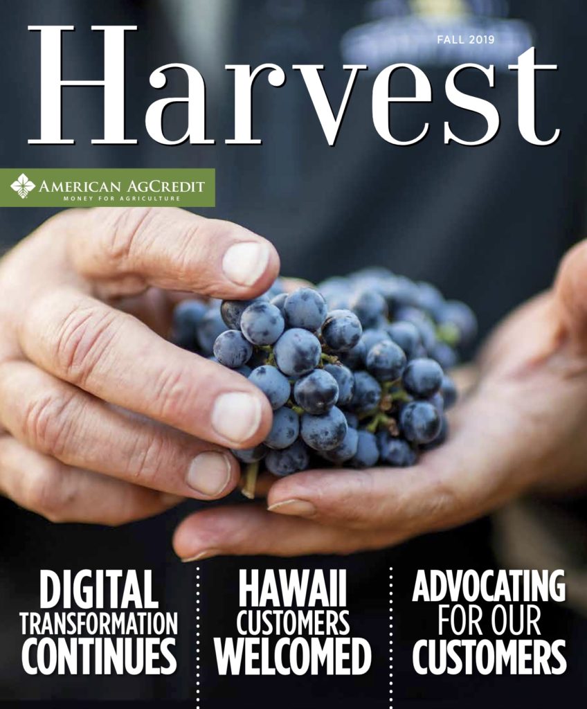 Harvest 2019 Newsletter