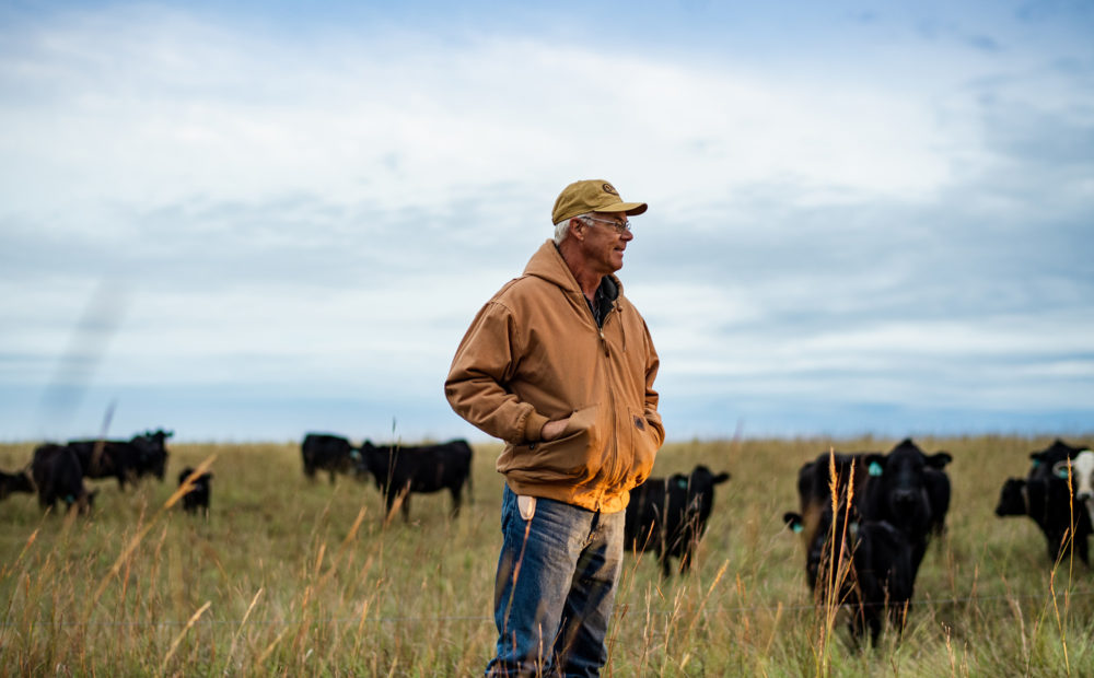 Peterson Farm & Cattle, Assaria, Kansas