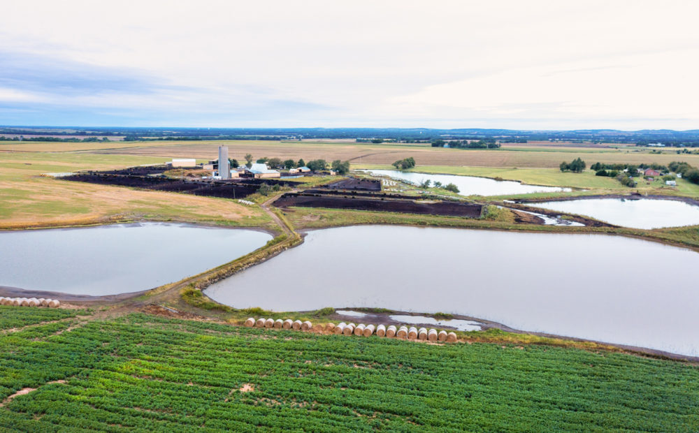 Peterson Farm & Cattle, Assaria, Kansas