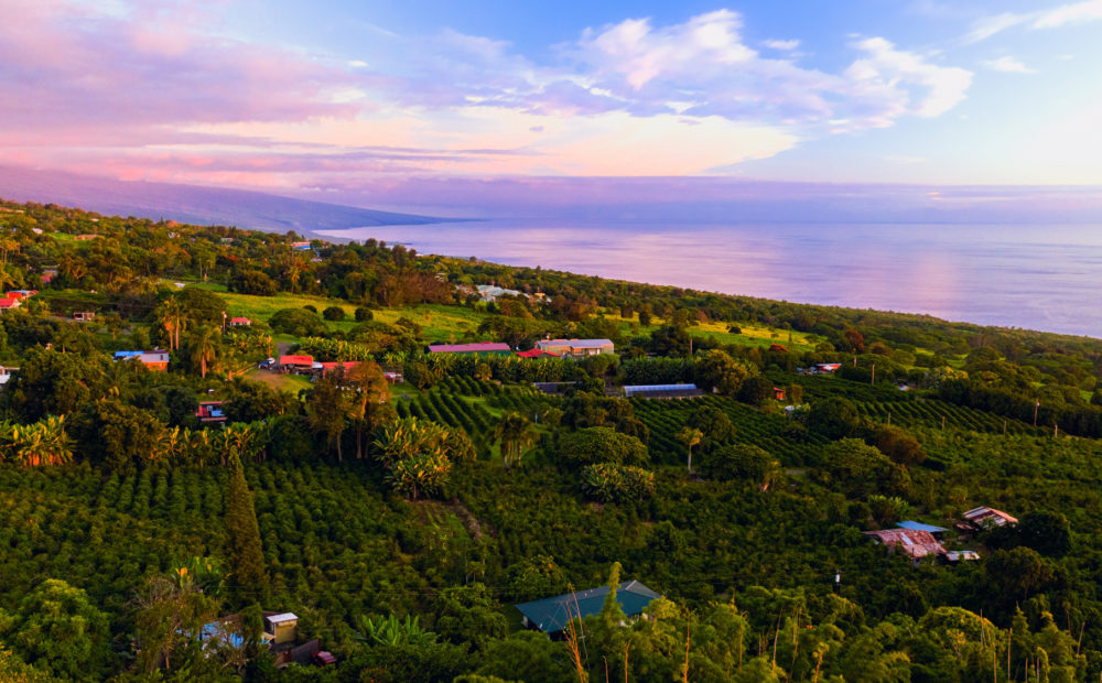 Greenwell Farms, Kona, Hawaii