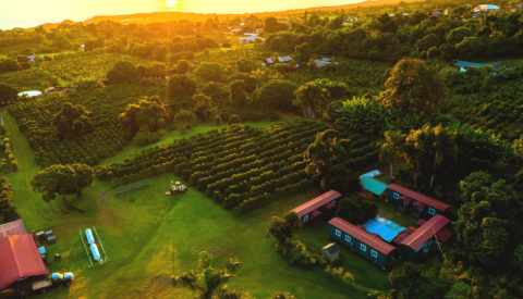 Greenwell Farms from above