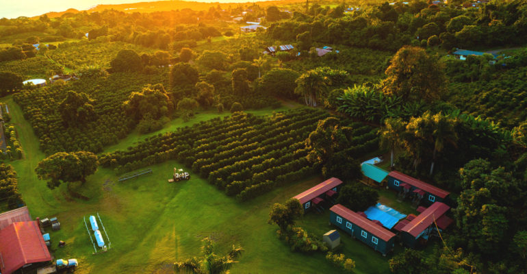 Greenwell Farms from above