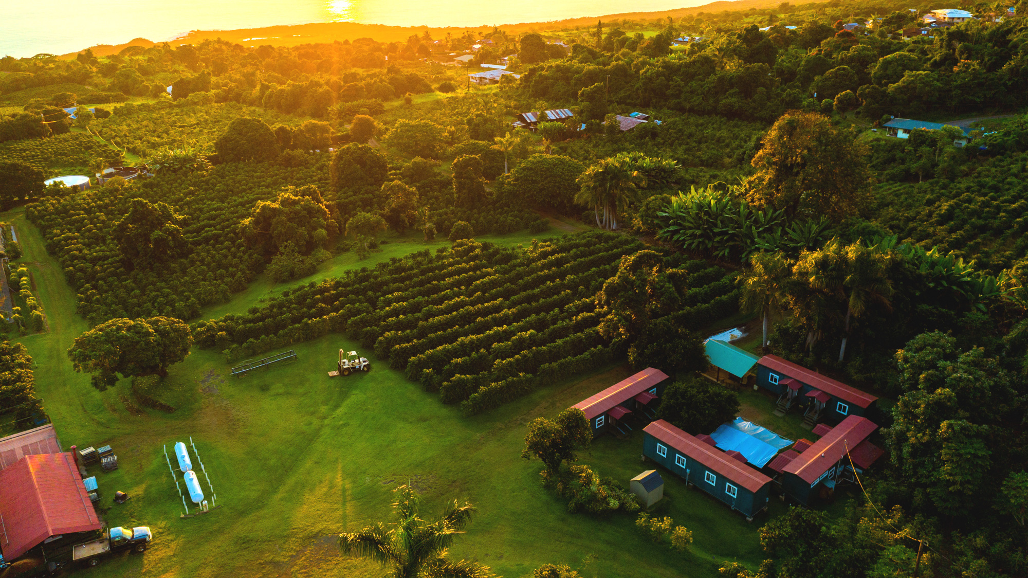 Greenwell Farms - American AgCredit