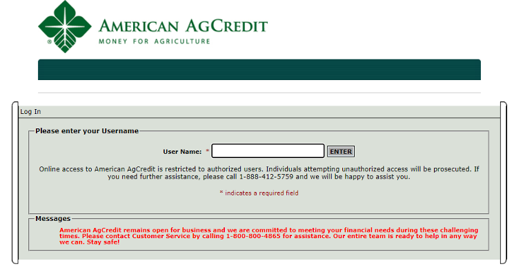 Legacy Online Banking Interface
