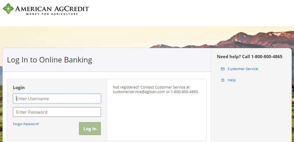 New Online Banking Interface