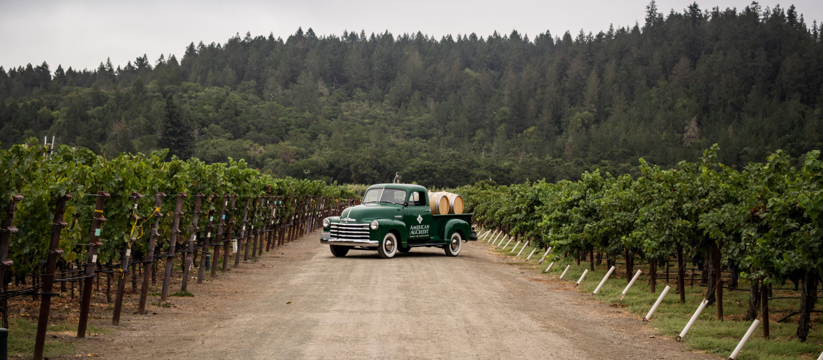 American AgCredit truck in vineyard