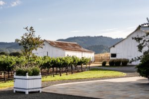 Gamble Vineyard