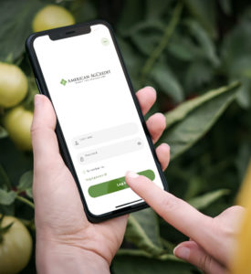 American AgCredit Mobile Banking Platform App
