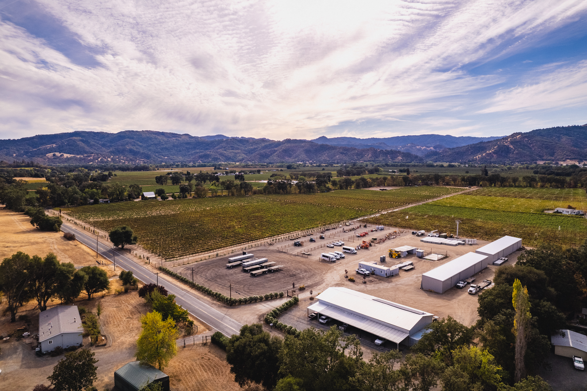 Noble Vineyard Management
