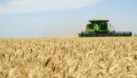 Wheat combine