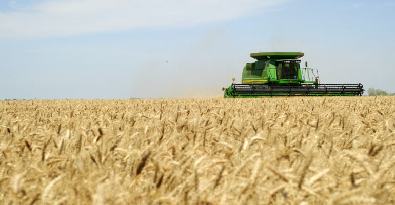 Wheat combine