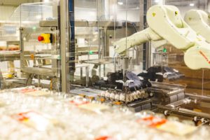 Automation in Egg Production