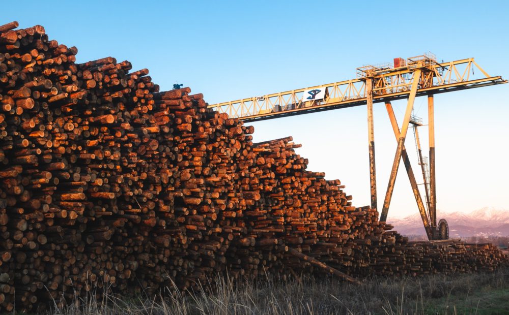 Timber piled