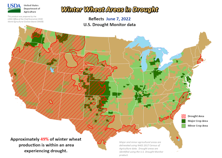 Winter Wheat Drought Areas