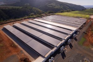 Solar Powered Eggs