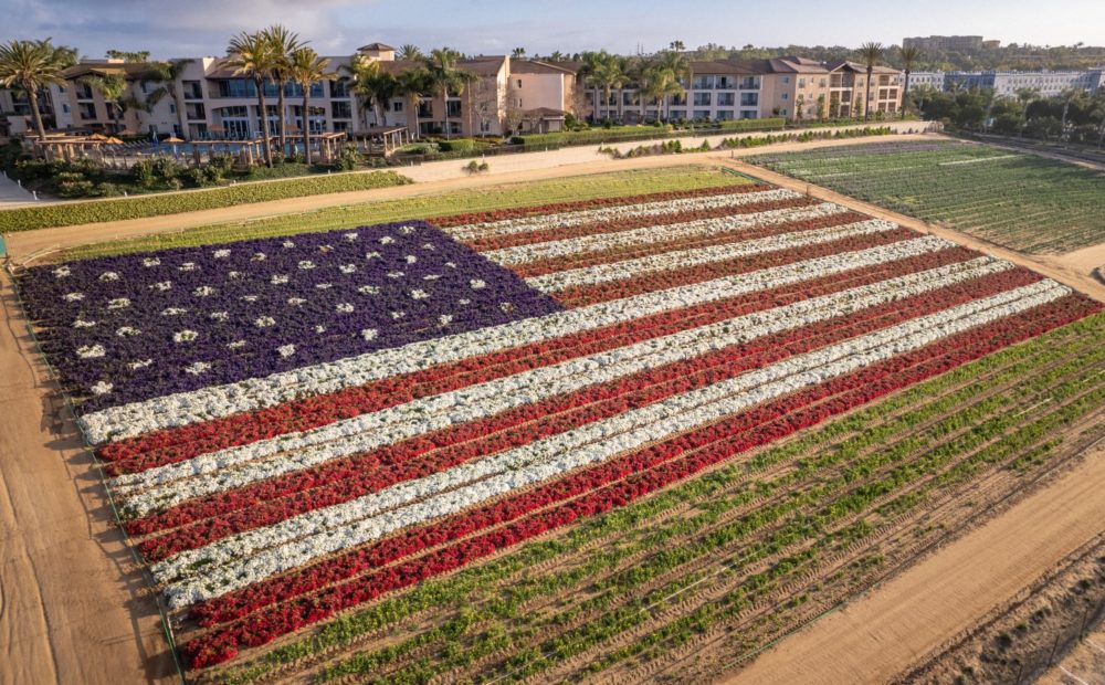 American flag made of flowers