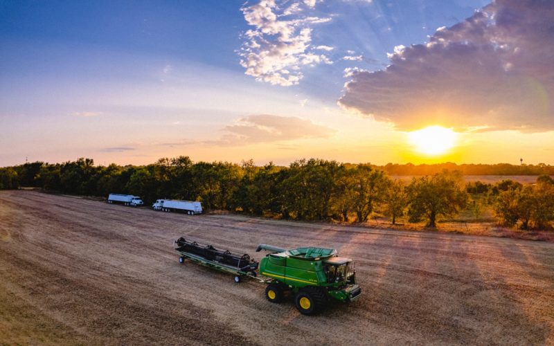 Sun set over soybean field after harvest