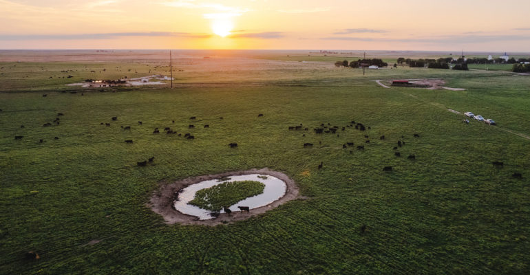 Sunset over pasture at Triangle H