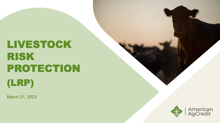 Livestock Risk Protection webinar