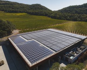 Solar panels on Pritchard Hill at Chappellet Winery