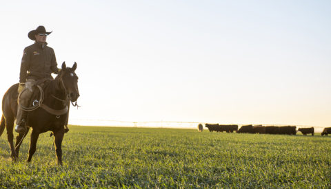 Farm Credit of New Mexico Merger