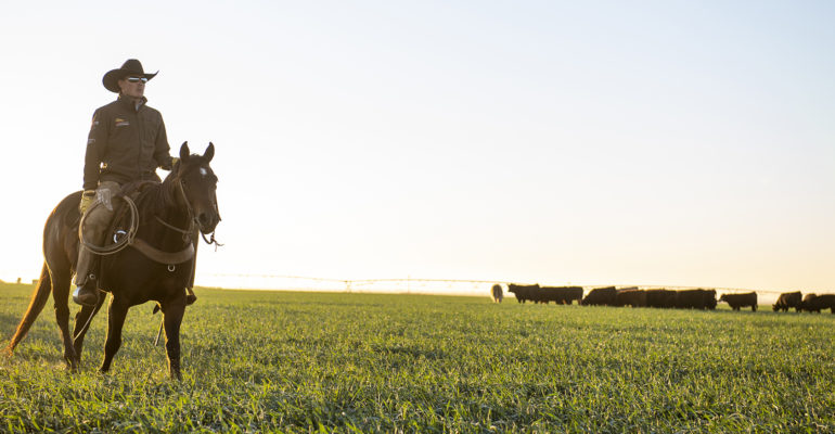 Farm Credit of New Mexico Merger