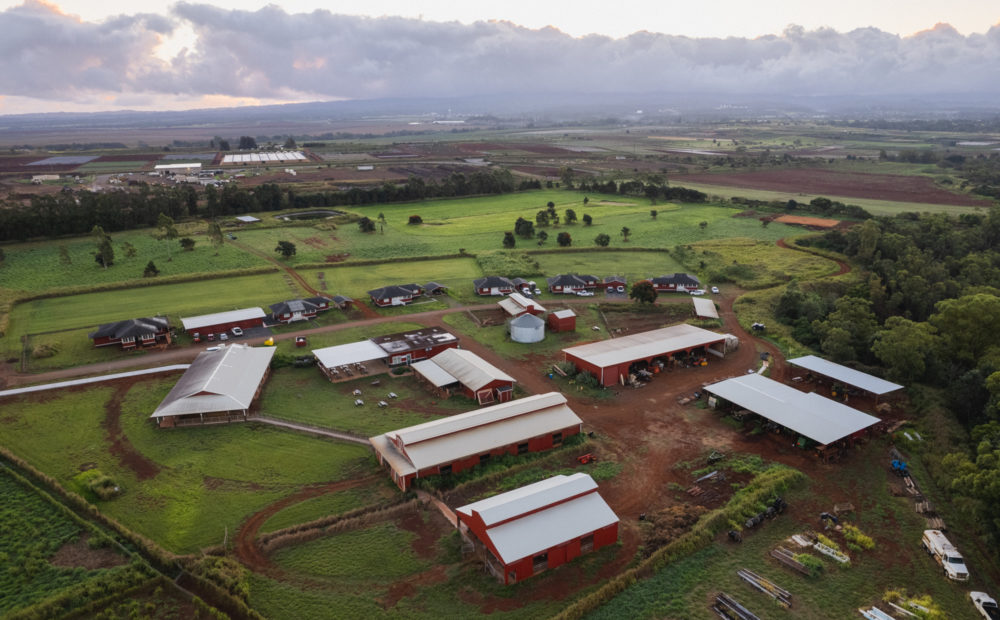 Sweet Land Farms Drone Shot